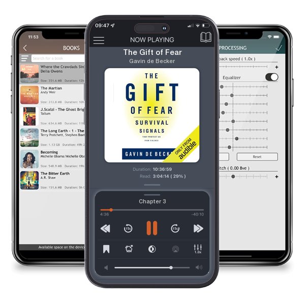 Download fo free audiobook The Gift of Fear by Gavin de Becker and listen anywhere on your iOS devices in the ListenBook app.