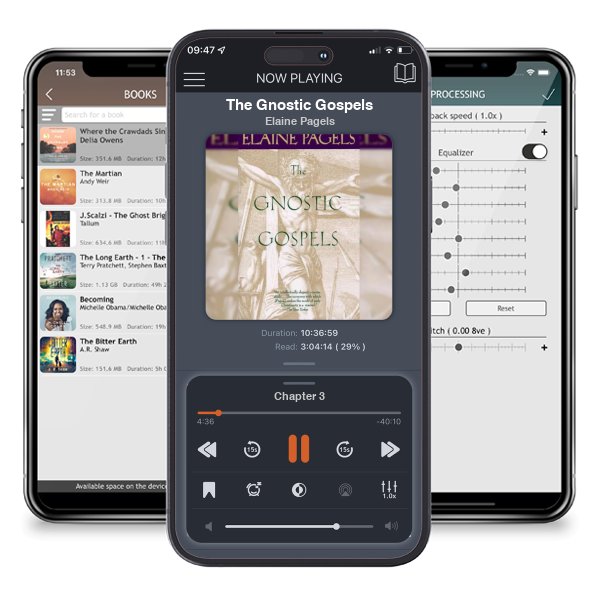 Download fo free audiobook The Gnostic Gospels by Elaine Pagels and listen anywhere on your iOS devices in the ListenBook app.