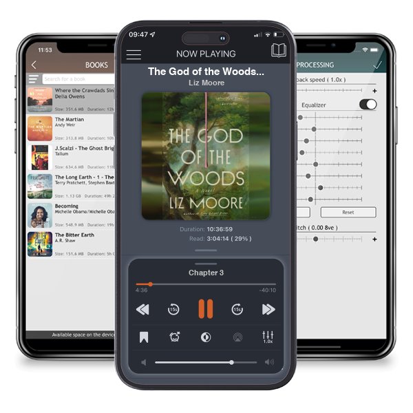 Download fo free audiobook The God of the Woods: A Novel by Liz Moore and listen anywhere on your iOS devices in the ListenBook app.