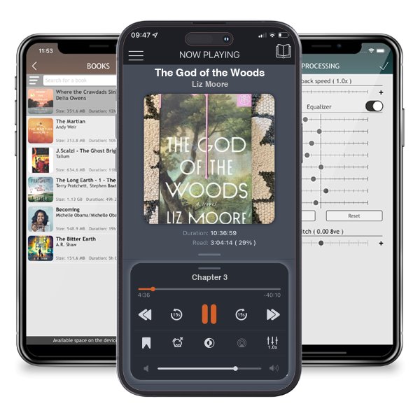 Download fo free audiobook The God of the Woods by Liz Moore and listen anywhere on your iOS devices in the ListenBook app.