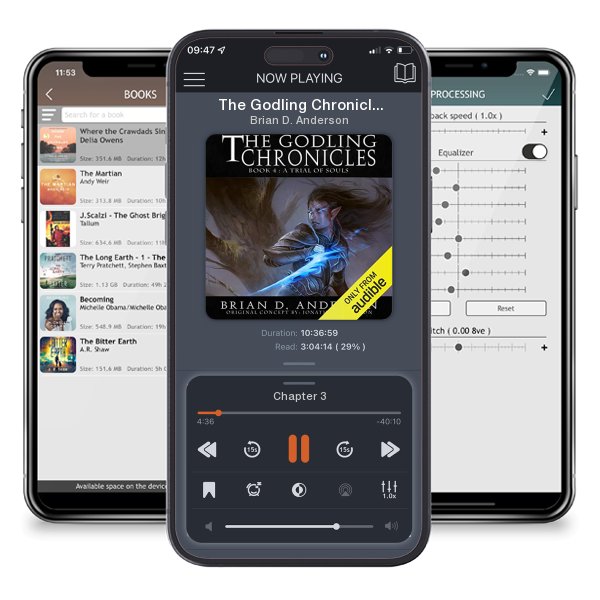 Download fo free audiobook The Godling Chronicles: A Trial of Souls, Book 4 by Brian D. Anderson and listen anywhere on your iOS devices in the ListenBook app.