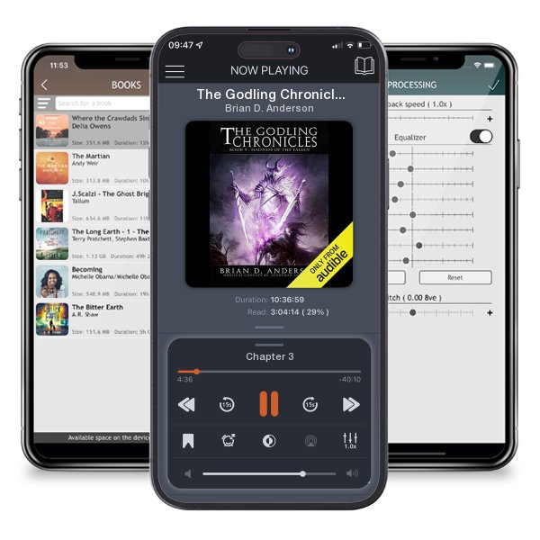Download fo free audiobook The Godling Chronicles: Madness of the Fallen, Book 5 by Brian D. Anderson and listen anywhere on your iOS devices in the ListenBook app.