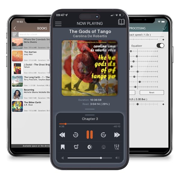 Download fo free audiobook The Gods of Tango by Carolina De Robertis and listen anywhere on your iOS devices in the ListenBook app.