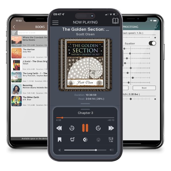 Download fo free audiobook The Golden Section: Nature's Greatest Secret by Scott Olsen and listen anywhere on your iOS devices in the ListenBook app.