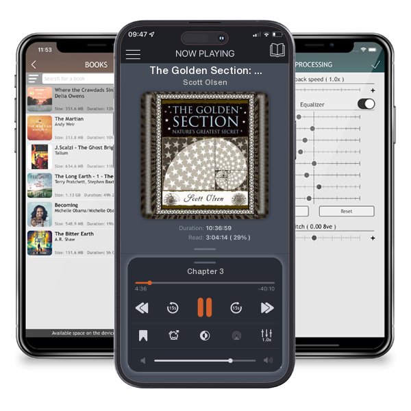 Download fo free audiobook The Golden Section: Nature's Greatest Secret (Wooden Books) by Scott Olsen and listen anywhere on your iOS devices in the ListenBook app.