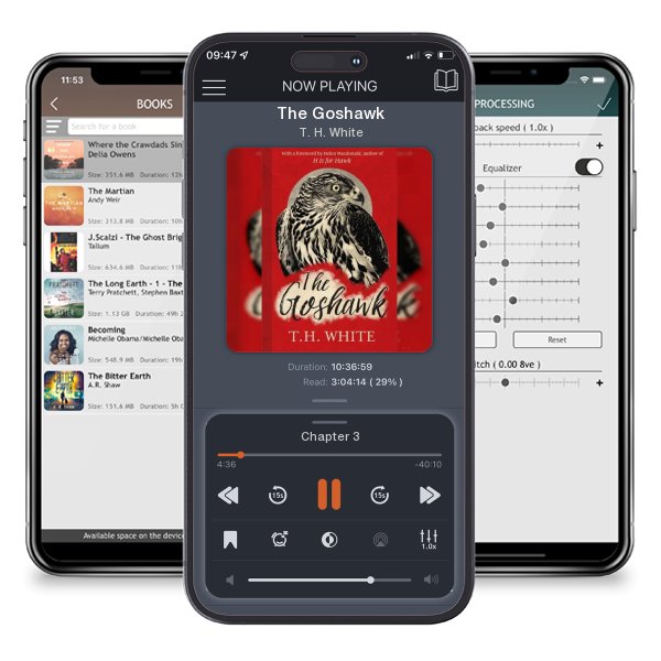Download fo free audiobook The Goshawk by T. H. White and listen anywhere on your iOS devices in the ListenBook app.