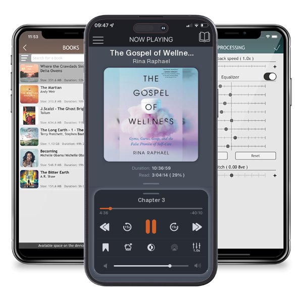 Download fo free audiobook The Gospel of Wellness: Gyms, Gurus, Goop, and the False... by Rina Raphael and listen anywhere on your iOS devices in the ListenBook app.