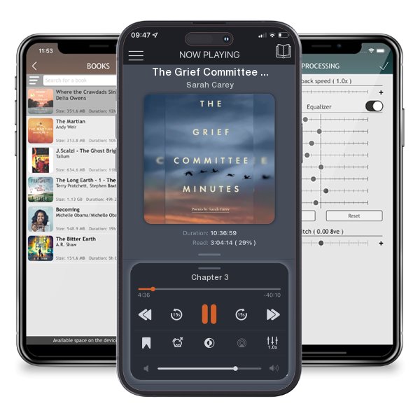 Download fo free audiobook The Grief Committee Minutes by Sarah Carey and listen anywhere on your iOS devices in the ListenBook app.