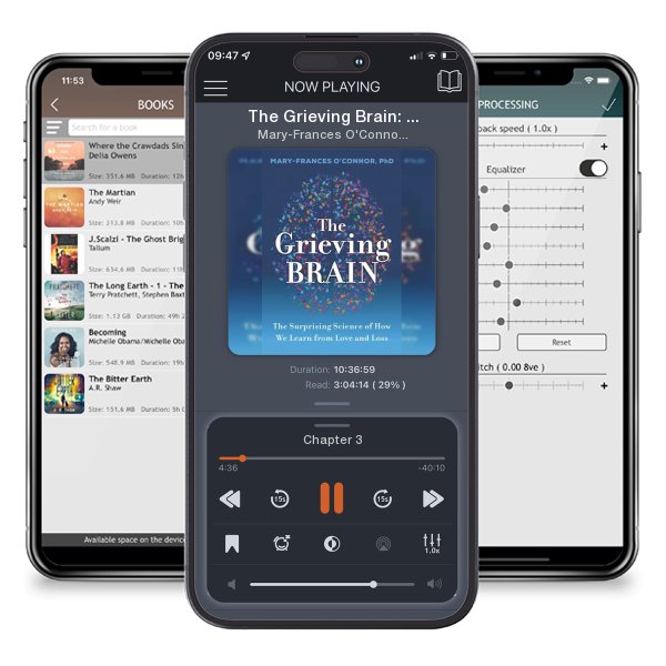 Download fo free audiobook The Grieving Brain: The Surprising Science of How We Learn... by Mary-Frances O'Connor and listen anywhere on your iOS devices in the ListenBook app.