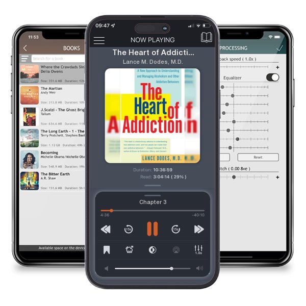 Download fo free audiobook The Heart of Addiction: A New Approach to Understanding and Managing Alcoholism and Other Addictive Behaviors by Lance M. Dodes, M.D. and listen anywhere on your iOS devices in the ListenBook app.