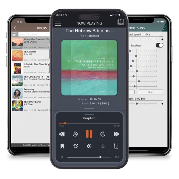 Download fo free audiobook The Hebrew Bible as Literature: A Very Short Introduction (Very Short Introductions) by Tod Linafelt and listen anywhere on your iOS devices in the ListenBook app.