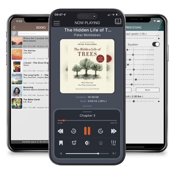 Download fo free audiobook The Hidden Life of Trees: What They Feel, How They... by Peter Wohlleben and listen anywhere on your iOS devices in the ListenBook app.