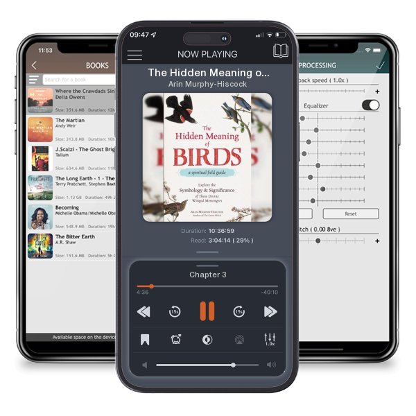 Download fo free audiobook The Hidden Meaning of Birds--A Spiritual Field Guide: Explore... by Arin Murphy-Hiscock and listen anywhere on your iOS devices in the ListenBook app.