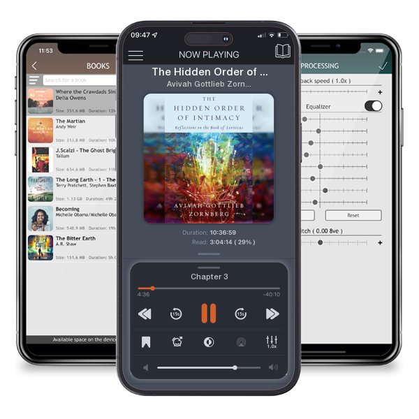 Download fo free audiobook The Hidden Order of Intimacy: Reflections on the Book of... by Avivah Gottlieb Zornberg and listen anywhere on your iOS devices in the ListenBook app.