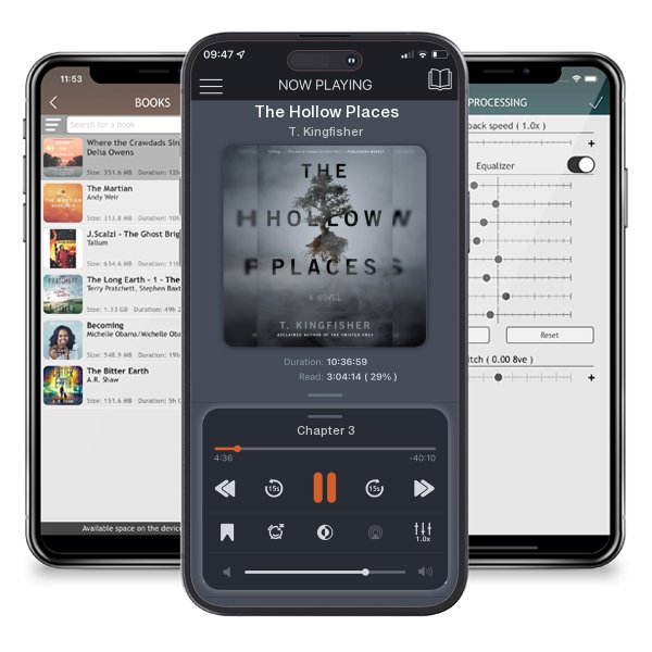 Download fo free audiobook The Hollow Places by T. Kingfisher and listen anywhere on your iOS devices in the ListenBook app.