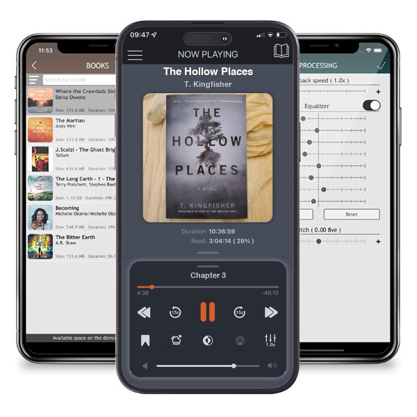 Download fo free audiobook The Hollow Places by T. Kingfisher and listen anywhere on your iOS devices in the ListenBook app.