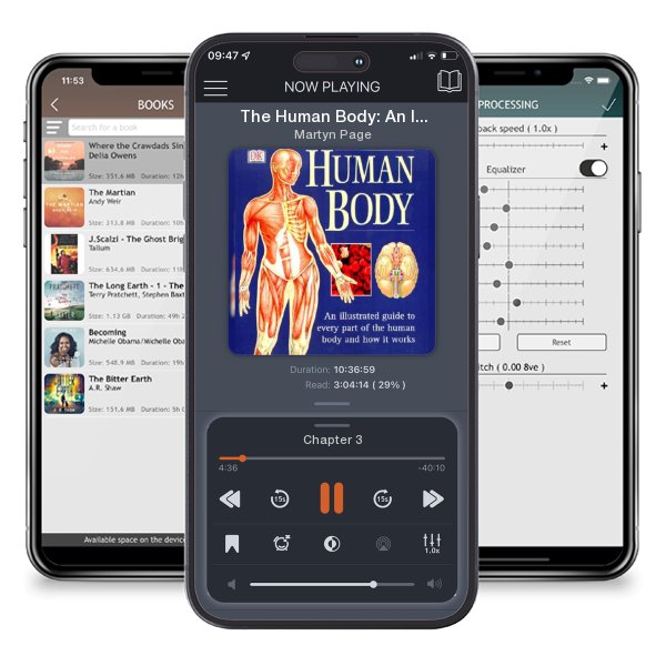 Download fo free audiobook The Human Body: An Illustrated Guide to Every Part of the... by Martyn Page and listen anywhere on your iOS devices in the ListenBook app.