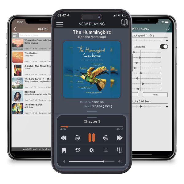 Download fo free audiobook The Hummingbird by Sandro Veronesi and listen anywhere on your iOS devices in the ListenBook app.