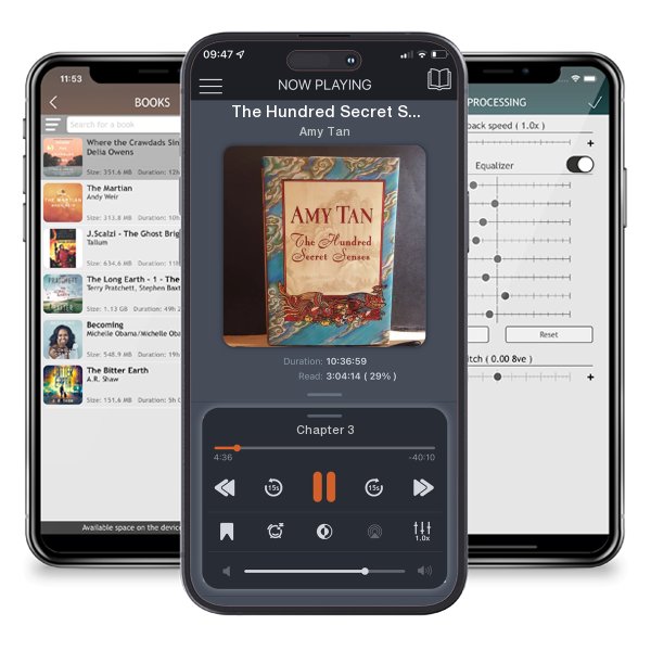 Download fo free audiobook The Hundred Secret Senses by Amy Tan and listen anywhere on your iOS devices in the ListenBook app.