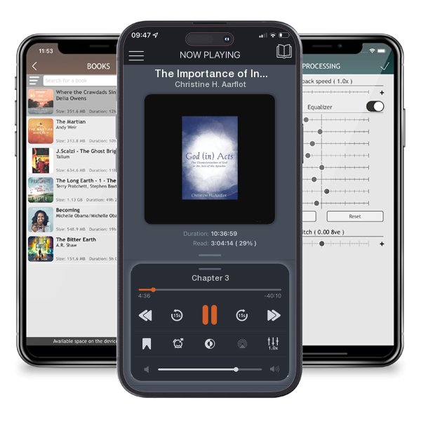 Download fo free audiobook The Importance of Inner Healing and Deliverance for Effective Discipleship: A Working Model for the Local Church by Christine H. Aarflot and listen anywhere on your iOS devices in the ListenBook app.