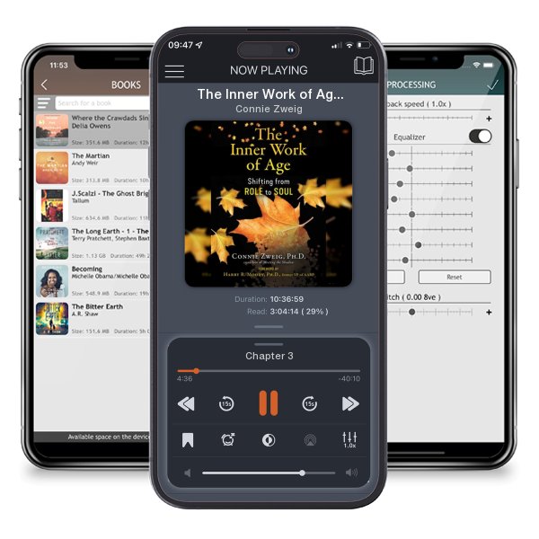Download fo free audiobook The Inner Work of Age: Shifting from Role to Soul by Connie Zweig and listen anywhere on your iOS devices in the ListenBook app.