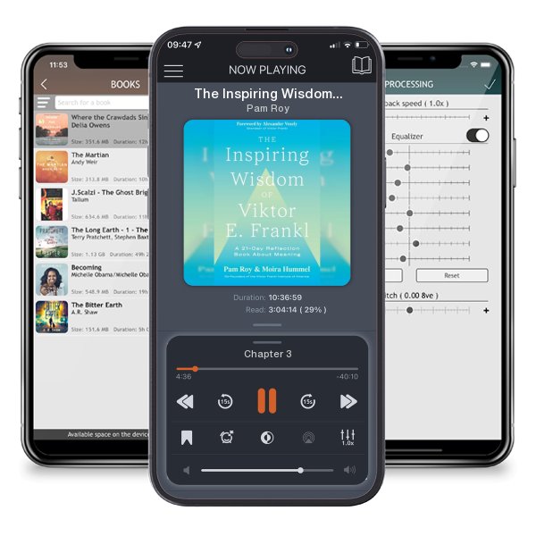 Download fo free audiobook The Inspiring Wisdom of Viktor E. Frankl: A 21-Day Reflection Book About Meaning by Pam Roy and listen anywhere on your iOS devices in the ListenBook app.