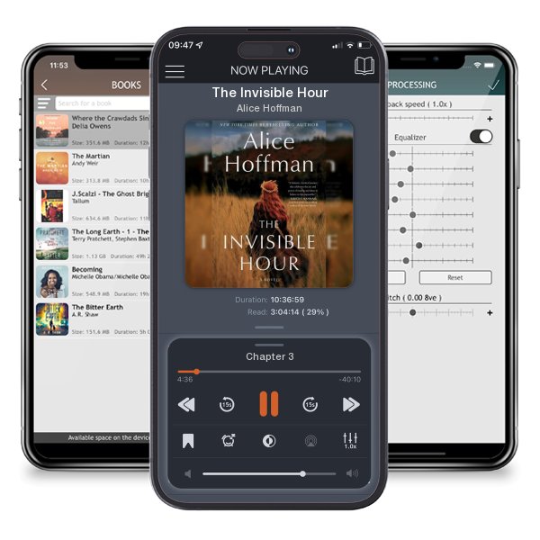 Download fo free audiobook The Invisible Hour by Alice Hoffman and listen anywhere on your iOS devices in the ListenBook app.