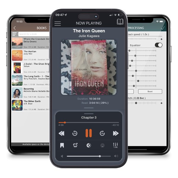 Download fo free audiobook The Iron Queen by Julie Kagawa and listen anywhere on your iOS devices in the ListenBook app.