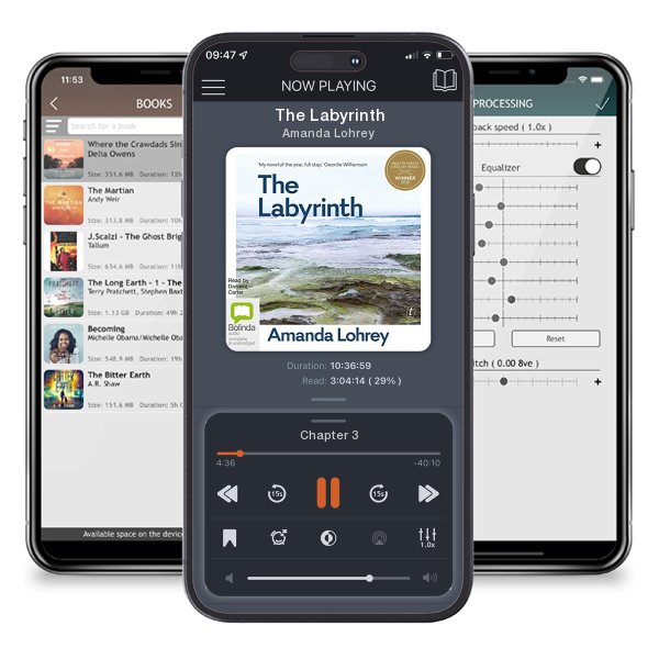 Download fo free audiobook The Labyrinth by Amanda Lohrey and listen anywhere on your iOS devices in the ListenBook app.