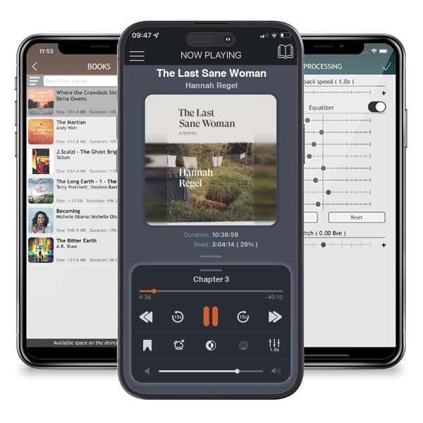 Download fo free audiobook The Last Sane Woman by Hannah Regel and listen anywhere on your iOS devices in the ListenBook app.