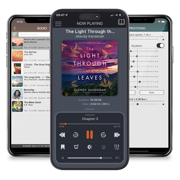 Download fo free audiobook The Light Through the Leaves by Glendy Vanderah and listen anywhere on your iOS devices in the ListenBook app.