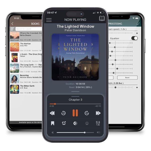 Download fo free audiobook The Lighted Window by Peter Davidson and listen anywhere on your iOS devices in the ListenBook app.