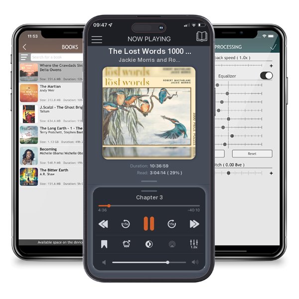 Download fo free audiobook The Lost Words 1000 Piece Jigsaw Puzzle: The Kingfisher by Jackie Morris and Robert MacFarlane and listen anywhere on your iOS devices in the ListenBook app.