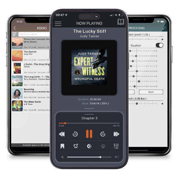Download fo free audiobook The Lucky Stiff by Judy Tarver and listen anywhere on your iOS devices in the ListenBook app.