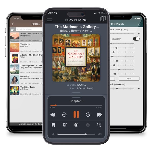 Download fo free audiobook The Madman's Gallery: The Strangest Paintings, Sculptures and Other Curiosities from the History of Art by Edward Brooke-Hitching and listen anywhere on your iOS devices in the ListenBook app.