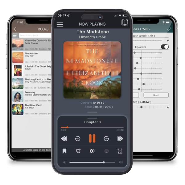 Download fo free audiobook The Madstone by Elizabeth Crook and listen anywhere on your iOS devices in the ListenBook app.