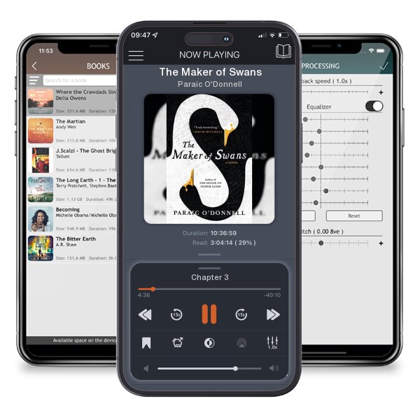 Download fo free audiobook The Maker of Swans by Paraic O'Donnell and listen anywhere on your iOS devices in the ListenBook app.