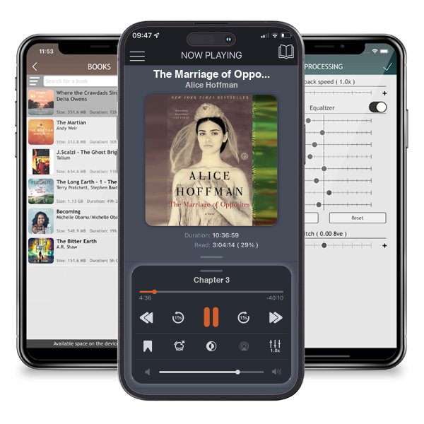 Download fo free audiobook The Marriage of Opposites by Alice Hoffman and listen anywhere on your iOS devices in the ListenBook app.
