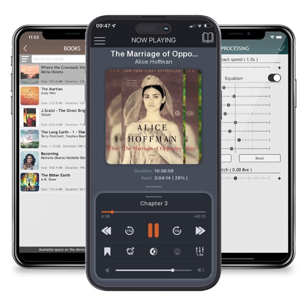 Download fo free audiobook The Marriage of Opposites by Alice Hoffman and listen anywhere on your iOS devices in the ListenBook app.