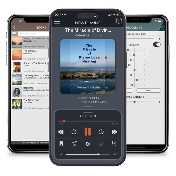 Download fo free audiobook The Miracle of Divine Love Healing by Robert G Fritchie and listen anywhere on your iOS devices in the ListenBook app.