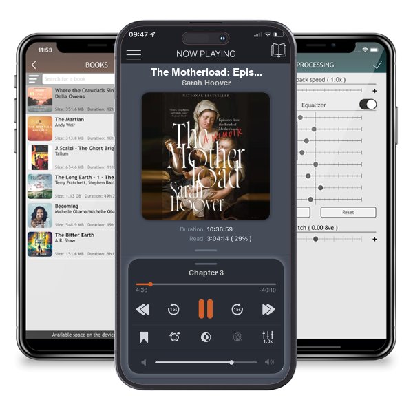 Download fo free audiobook The Motherload: Episodes from the Brink of Motherhood by Sarah Hoover and listen anywhere on your iOS devices in the ListenBook app.