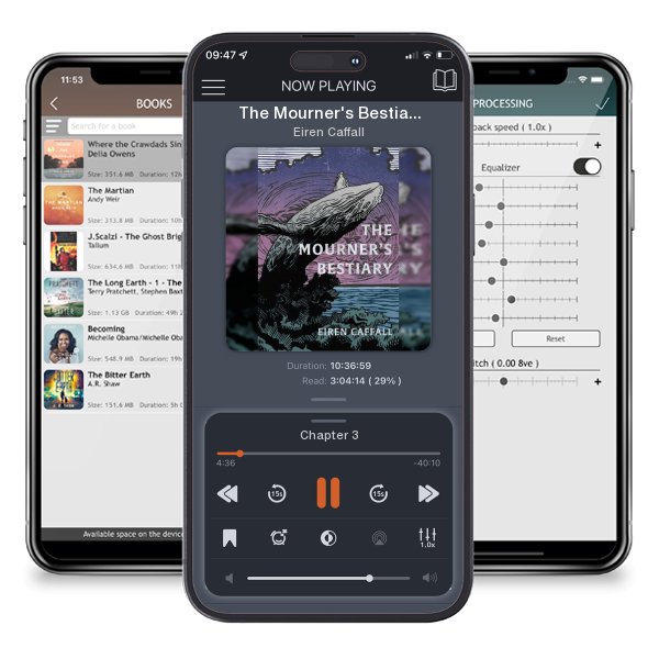 Download fo free audiobook The Mourner's Bestiary by Eiren Caffall and listen anywhere on your iOS devices in the ListenBook app.