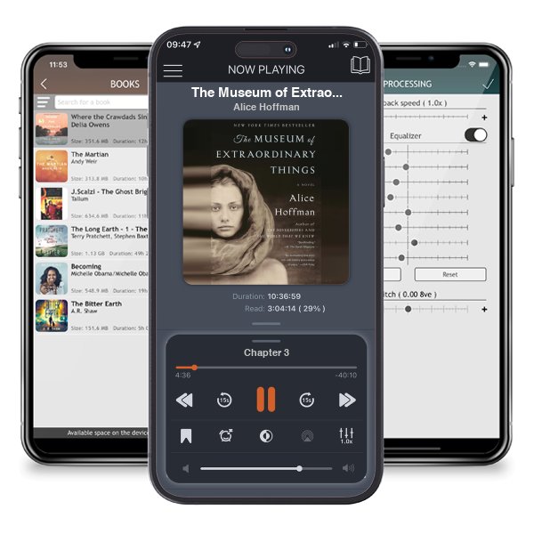 Download fo free audiobook The Museum of Extraordinary Things by Alice Hoffman and listen anywhere on your iOS devices in the ListenBook app.