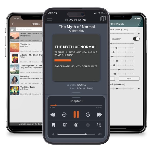 Download fo free audiobook The Myth of Normal by Gabor Maté and listen anywhere on your iOS devices in the ListenBook app.