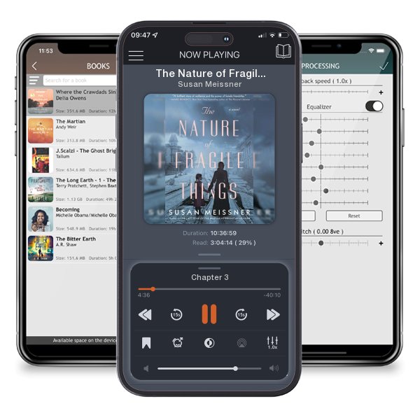 Download fo free audiobook The Nature of Fragile Things by Susan Meissner and listen anywhere on your iOS devices in the ListenBook app.