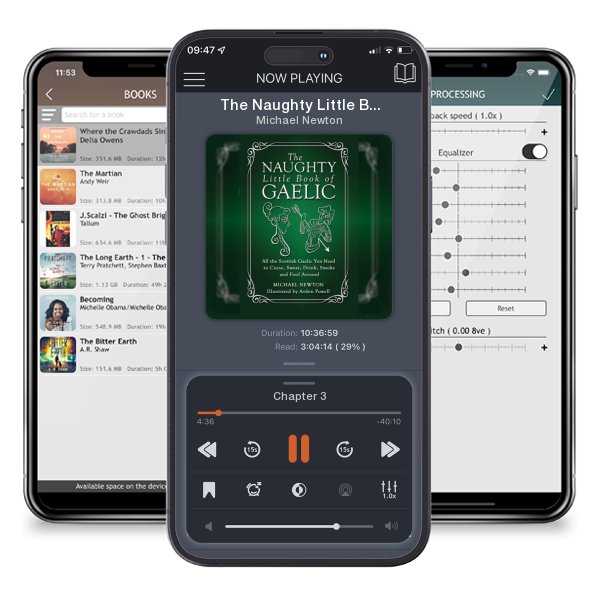 Download fo free audiobook The Naughty Little Book of Gaelic by Michael Newton and listen anywhere on your iOS devices in the ListenBook app.