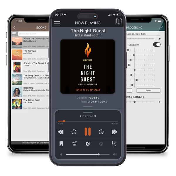 Download fo free audiobook The Night Guest by Hildur Knutsdottir and listen anywhere on your iOS devices in the ListenBook app.
