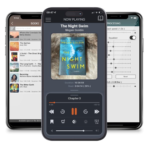 Download fo free audiobook The Night Swim by Megan Goldin and listen anywhere on your iOS devices in the ListenBook app.