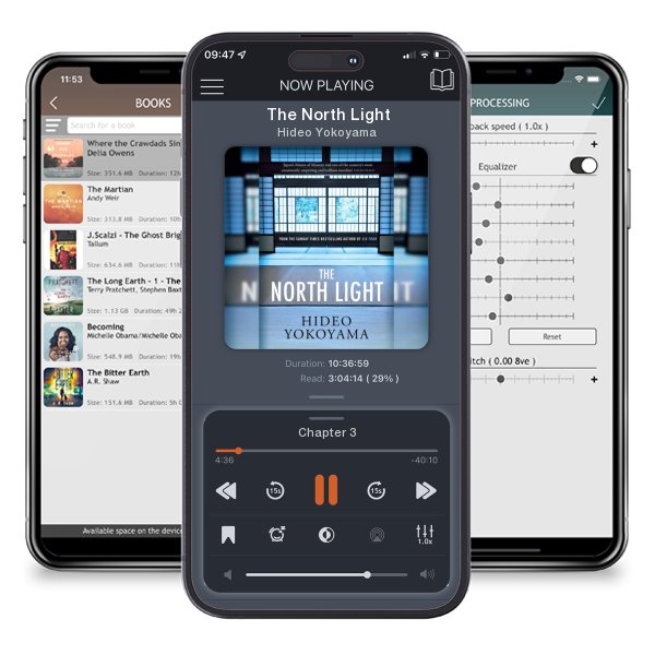 Download fo free audiobook The North Light by Hideo Yokoyama and listen anywhere on your iOS devices in the ListenBook app.