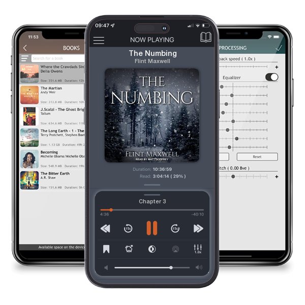 Download fo free audiobook The Numbing by Flint Maxwell and listen anywhere on your iOS devices in the ListenBook app.